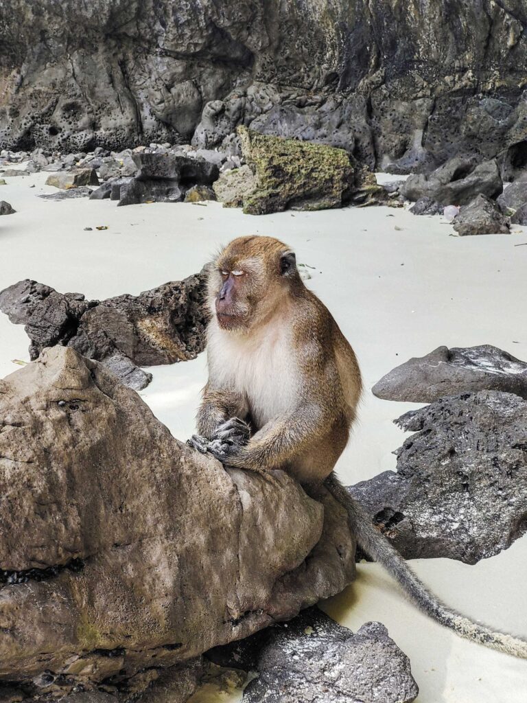 Phi Phi Island 1