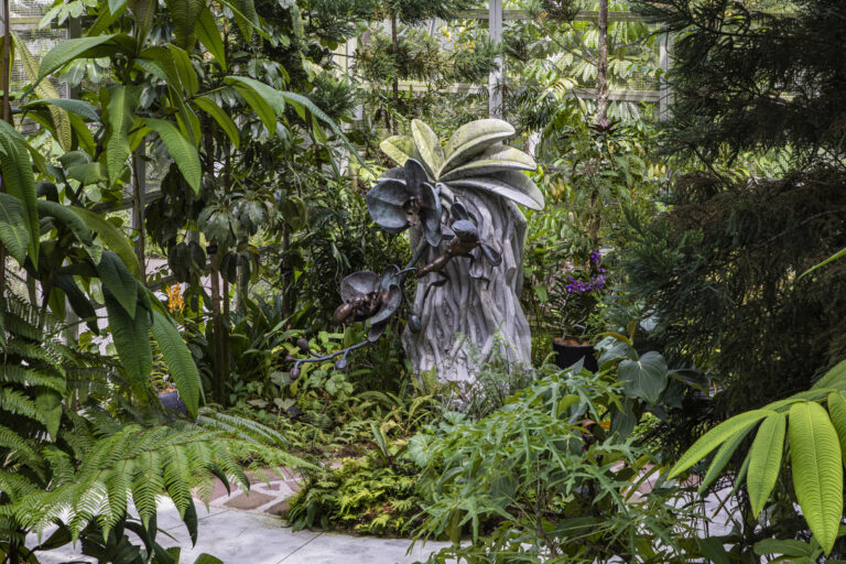 Singapore The Botanic Garden & Orcid garden (108)