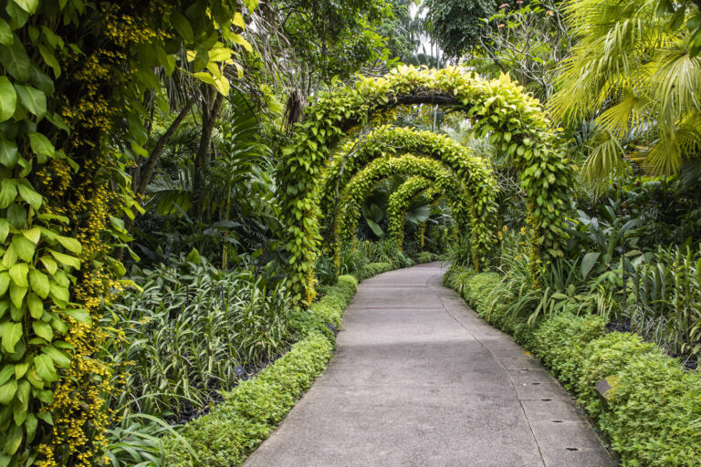 Singapore The Botanic Garden & Orcid garden (118) 1