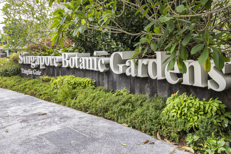 Singapore The Botanic Garden & Orcid garden (130) 1