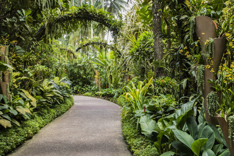 Singapore The Botanic Garden & Orcid garden (64) 1