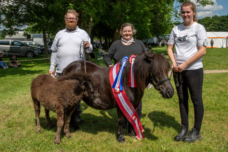 Hobro Dyrskue 2024 årets hest