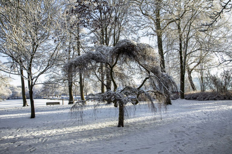 GF Viborg Vinter Foto Pakke 19
