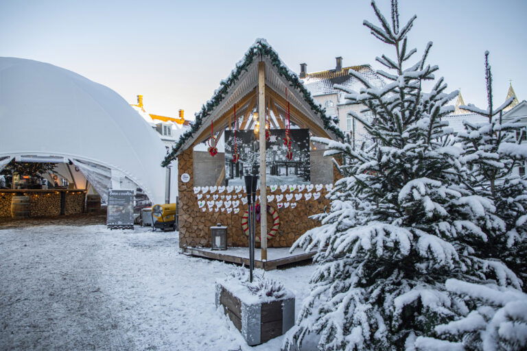 GF Viborg Vinter Foto Pakke 43