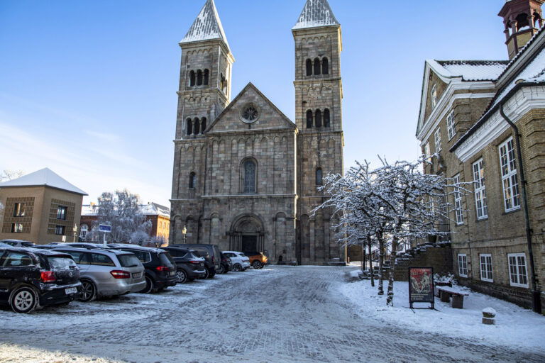 GF Viborg Vinter Foto Pakke 6