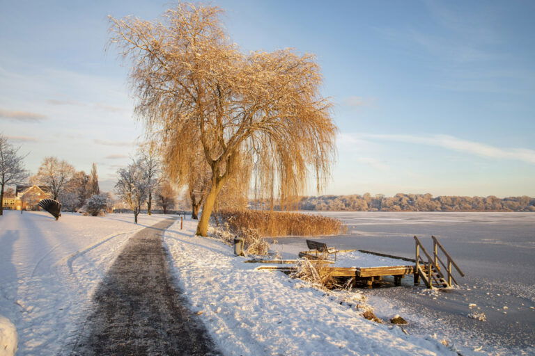 GF Viborg Vinter Foto Pakke 76